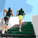 1-kademe-antrenorluk-temel-egitim-sinavi-Spor-ve-Saglik-Sinav-Sorulari