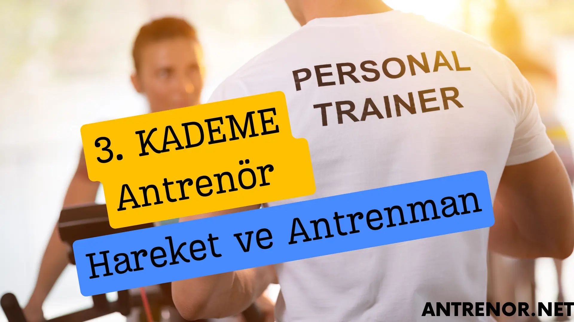 3. Kademe Antrenörlük Hareket ve Antrenman Sınav Soruları