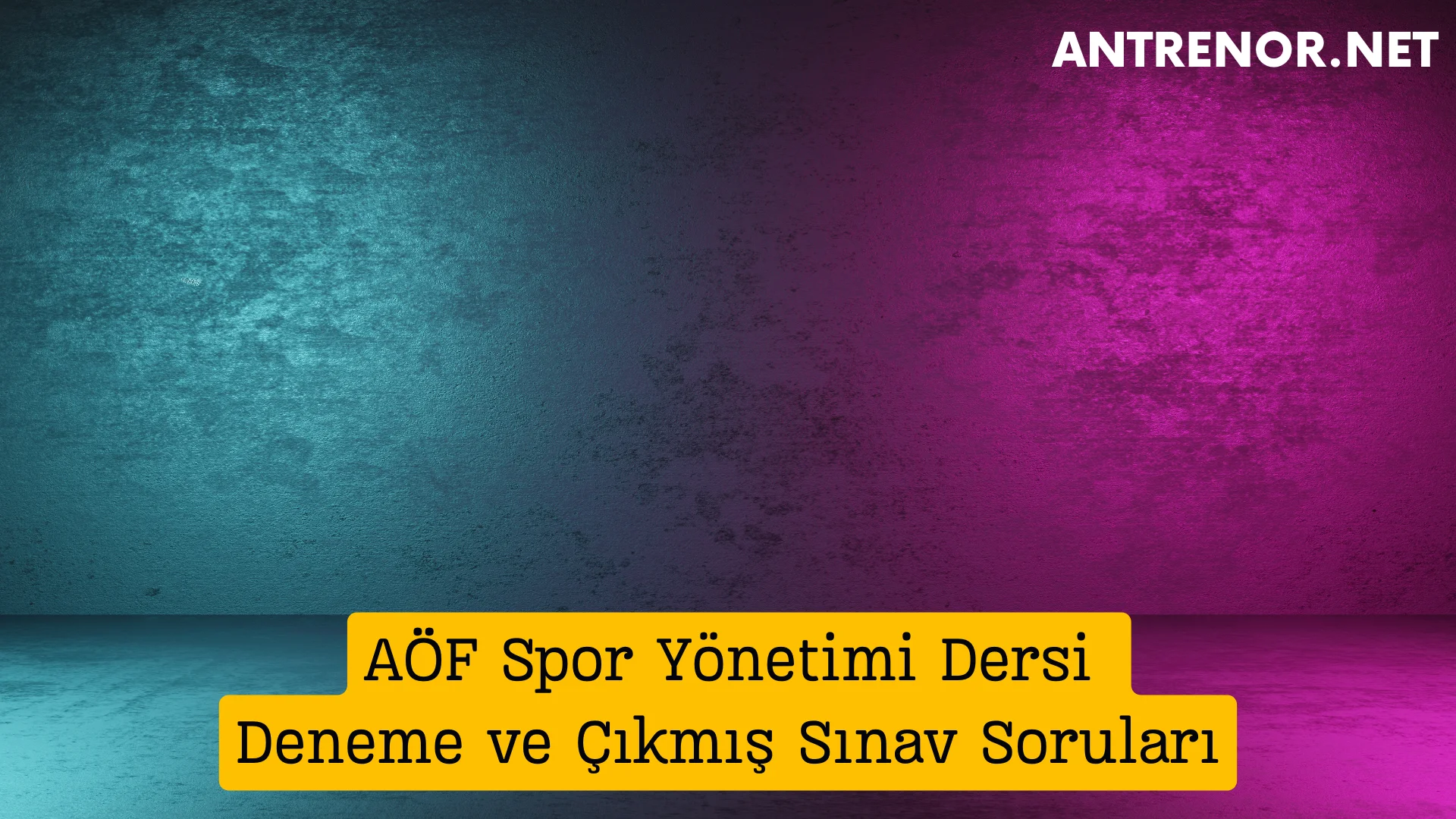 AÖF Spor Yönetimi Dersi Deneme ve Çıkmış Sınav Soruları