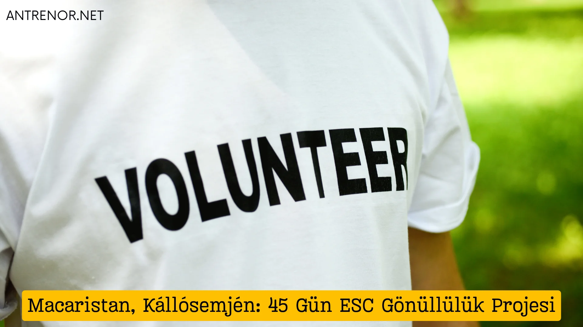 Macaristan, Kállósemjén: 45 Gün ESC Gönüllülük Projesi