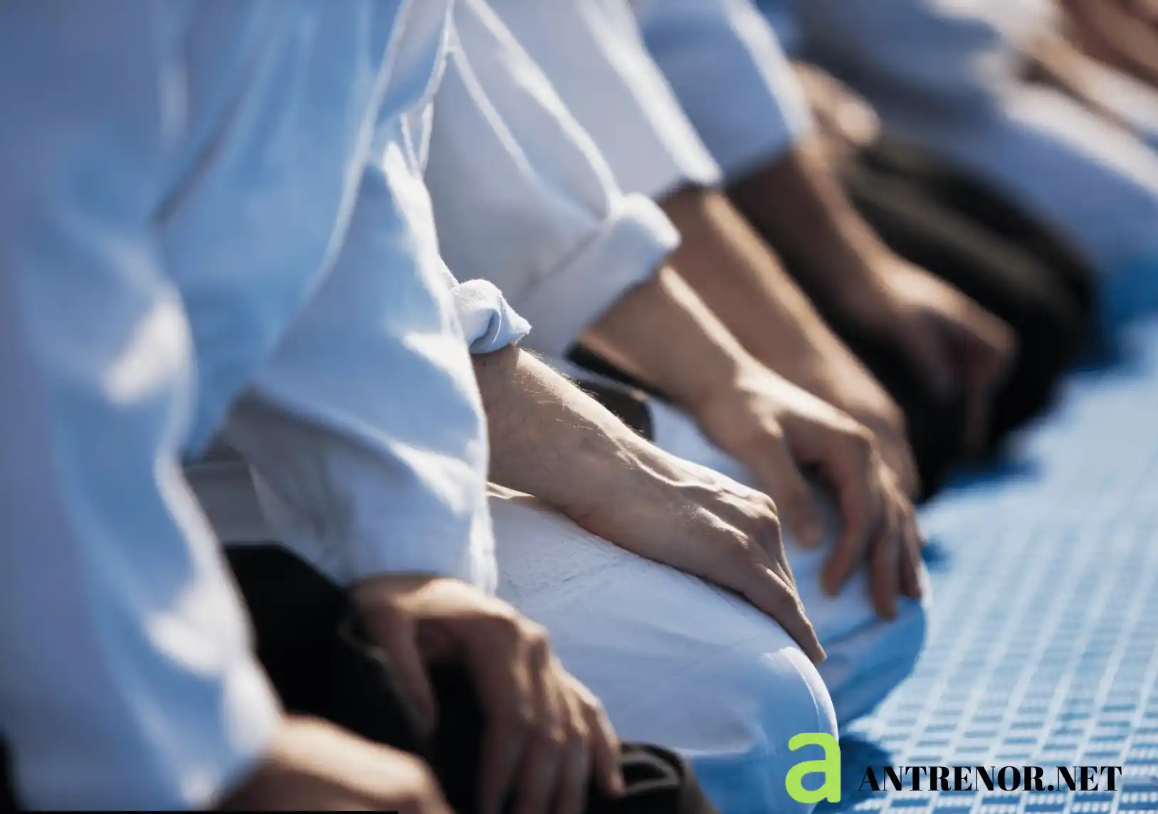 Aikido Dan Sınavı ve Gelişim Semineri-Adana 2024