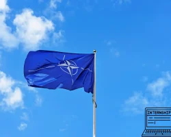 NATO Teknik Yazar Staj Programı – Hollanda