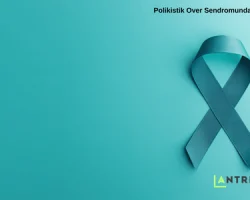 Polikistik Over Sendromunda (PCOS) Beslenme