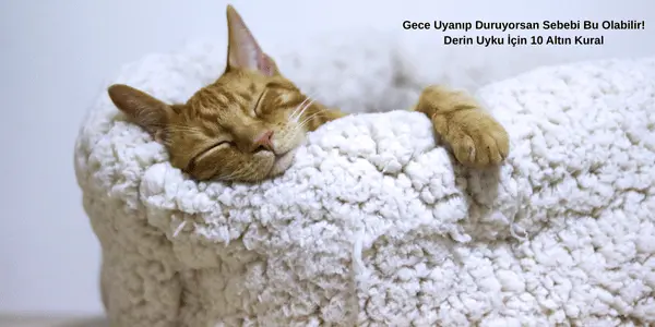 Gece Uyanıp Duruyorsan Sebebi Bu Olabilir! Derin Uyku İçin 10 Altın Kural