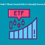 tdvi-etf-nedir-yuksek-temettu-geliri-ve-teknoloji-yatirimi-bir-arada
